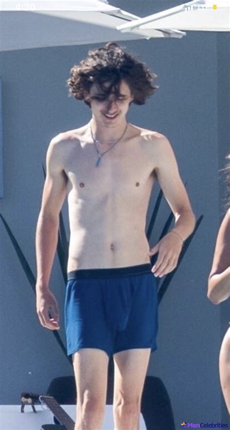 timothee chalamet cock|Timothée Chalamet